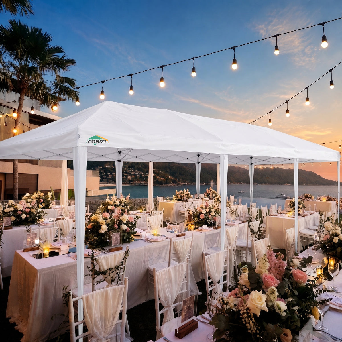 COBIZI 10'x30' Pop up Canopy with 6 Sidewalls & Carry Bag, Black SPC204