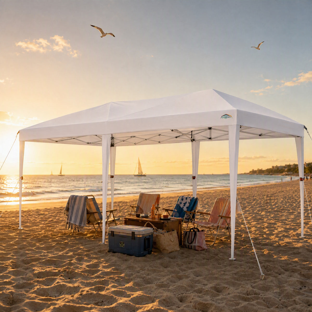 COBIZI 10'x20' Pop Up Canopy with 6 Sidewalls, Instant Set Up, SPC18