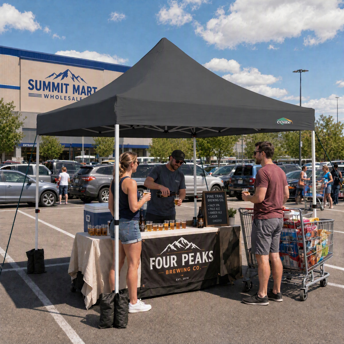 COBIZI 10'X10' Pop Up Canopy With 4 Sidewalls & Carry Bag SPC135