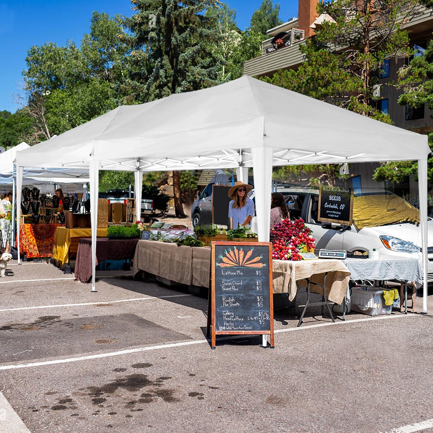 Cobizi Large 10'x20' Pop Up Canopy One-Push Setup with 6 Sidewalls SPC203