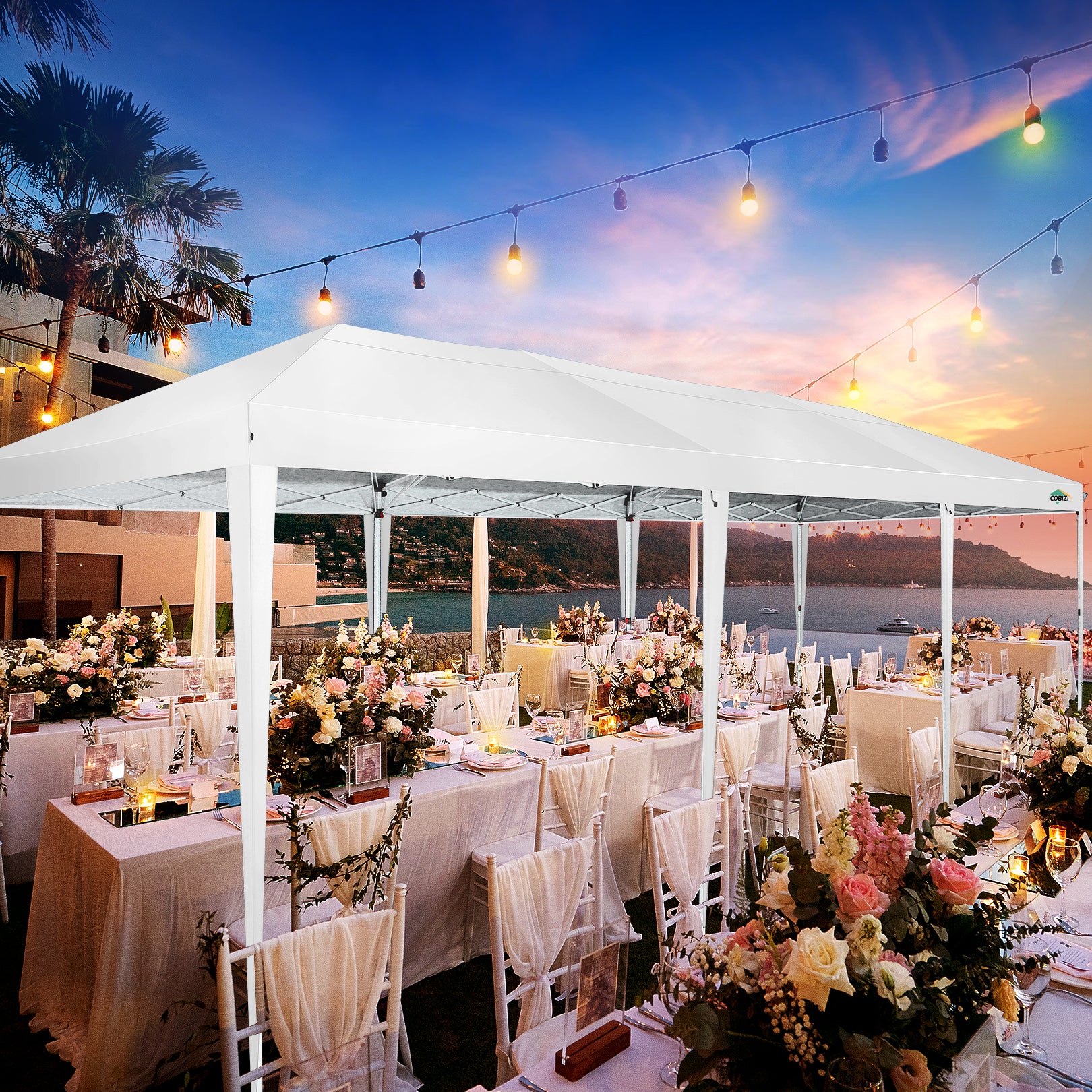 COBIZI 10'x30' Pop up Canopy with 6 Sidewalls & Carry Bag, Black SPC204