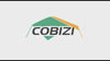COBIZI 6.5x6.5 FT Pop up Canopy, Waterproof Commercial Canopy Tent,Outdoor Garden Gazebo, with Carry Bag