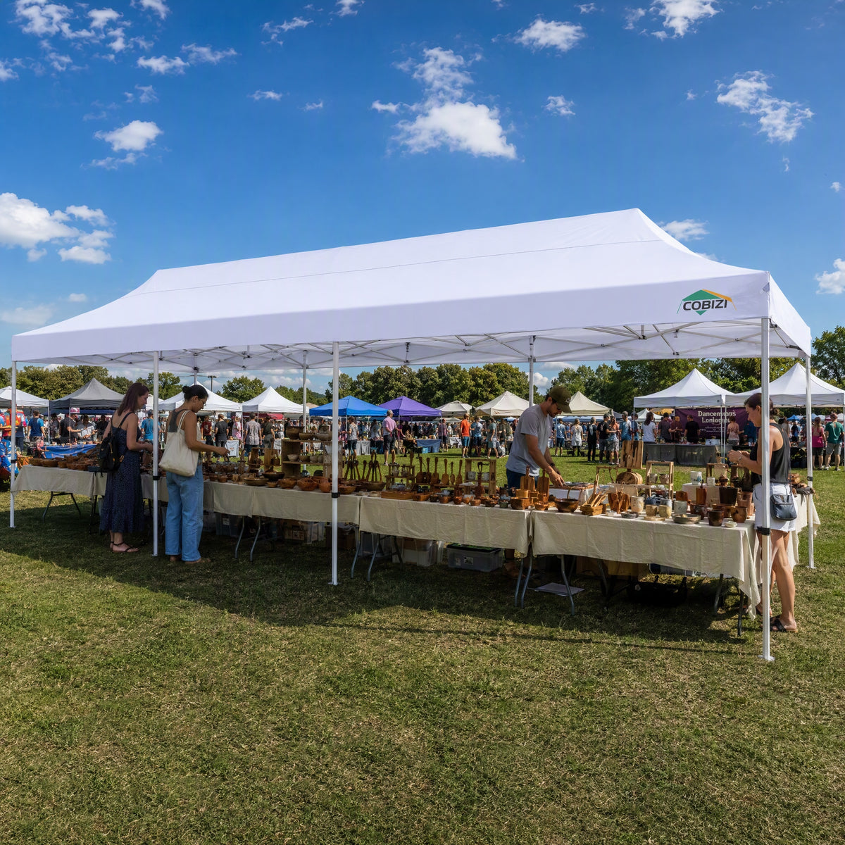 COBIZI 10'x30' Large Pop up Canopy, Easy Set Up  With 8 Removable Sidewalls SPC257