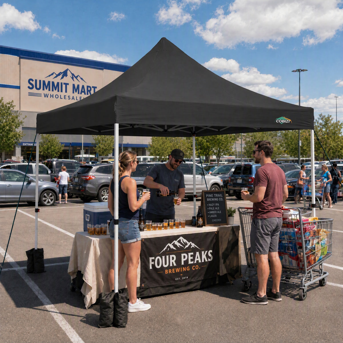 COBIZI 10'X10' Pop Up Canopy With 4 Sidewalls & Carry Bag SPC135
